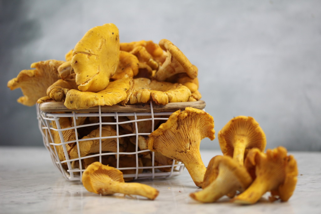 Chanterelles